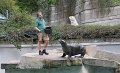 33 - Lars wartet schon auf einen Fisch